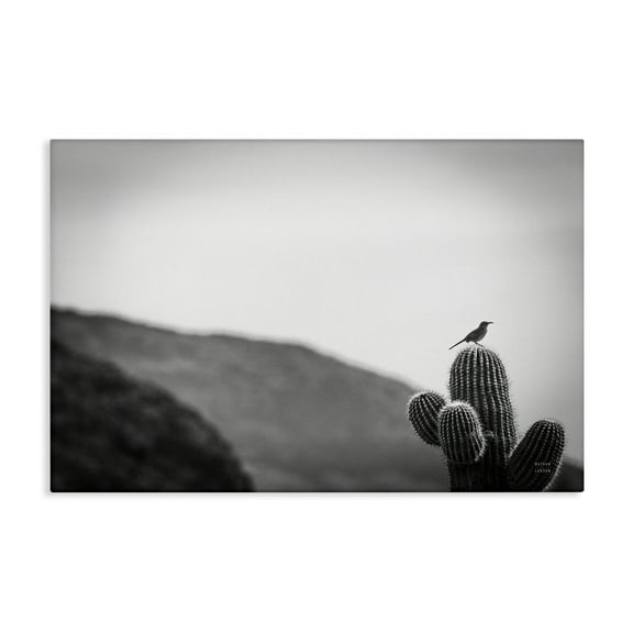 Stupell Industries On Guard Bird & Cactus Landscape & Nature Photography Wrapped Canvas Art Print Wall Art, 24 x 16