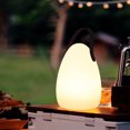 thumbnail image 3 of TopLLC USB Lighter Outdoor Lighter With Flashlight Windproof Electric Lighter Recharge Gadgets, 3 of 8