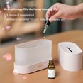 Easy to Clean Portable Air Humidifier With Auto Shut Off, Realistic