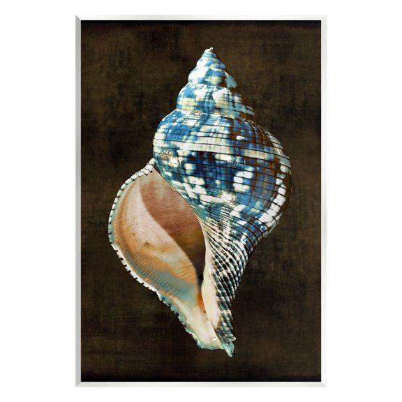 Stupell Industries Modern Conch Shell Nature Painting Unframed Art Print Wall Art, 13 x 19