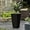 Black, variant on LuxenHome Tall Planters for Indoor , Tapered Black Planters for Outdoor , 18.5" Pots Outdoor/Indoor, Large Flower Planter Pot, Rectangular Planter Garden Pots, Macetas para Plantas