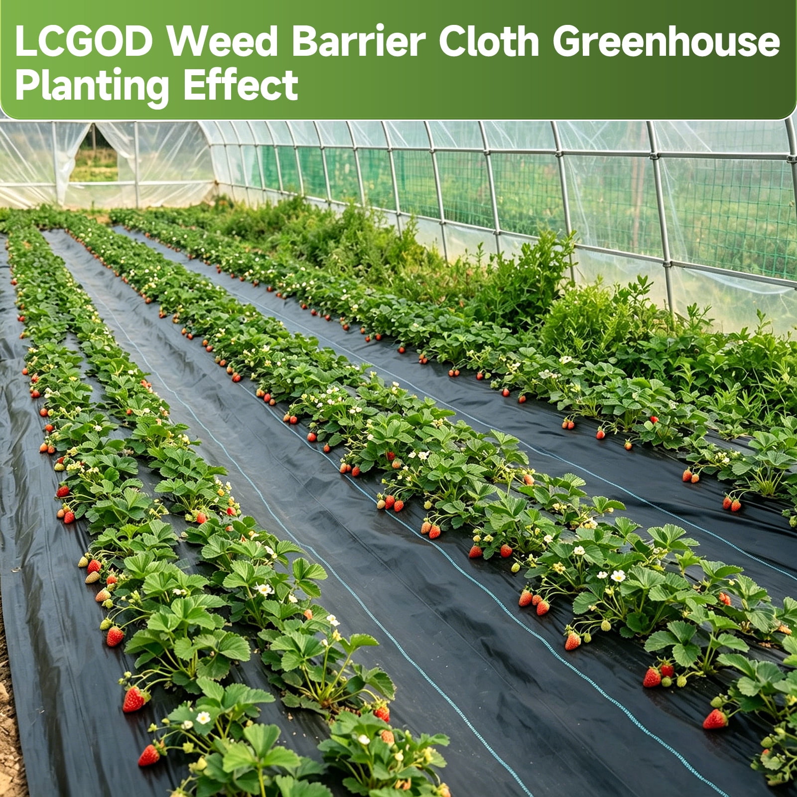 Lcogd 6.6x33ft High-Permeability Weed Barrier Fabric with 30 Ground Nails, Heavy Duty Landscape Fabric for Gardens, Lawns & Landscaping