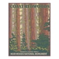 thumbnail image 2 of Muir Woods National Monument, California, Forest View (1000 Piece Puzzle, Size 19x27, Challenging Jigsaw Puzzle for Adults and Family, Made in USA), 2 of 4