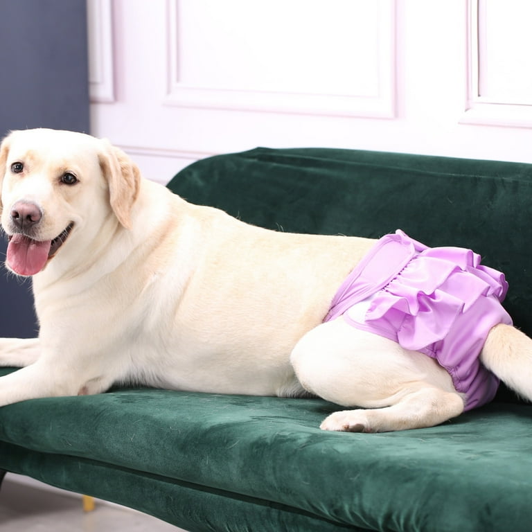 Puppy diapers walmart 2025