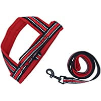 A Pets Life Arnés Reflectivo Rojo A Pets Life HARNE-015