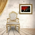 thumbnail image 3 of Stalus, Judy 18x13 Gold Ornate Wood Framed with Double Matting Museum Art Print Titled - Red Daisy, 3 of 4