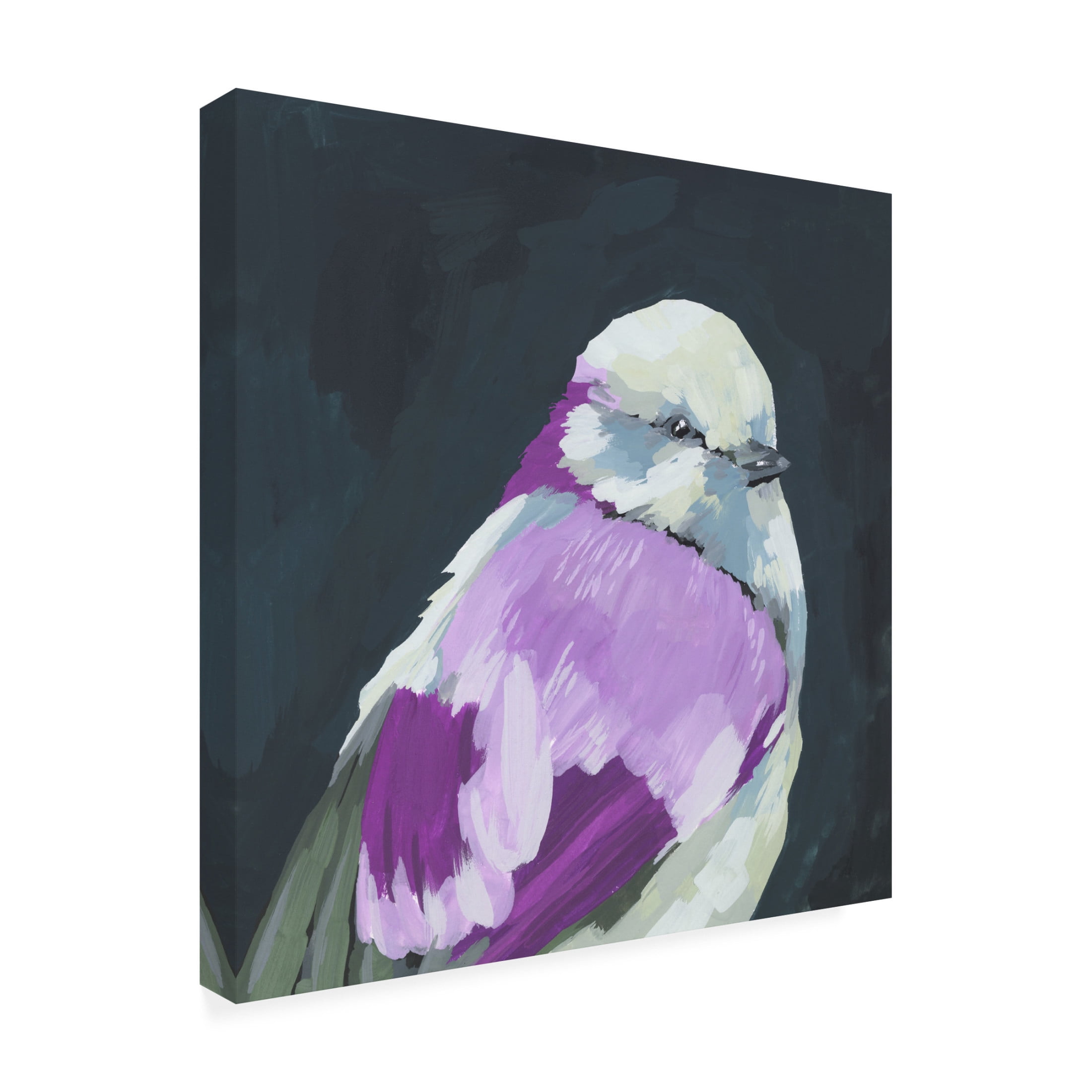 Canvas Wall Art - Melissa Wang 'Vivid Bird IV' Wall Art for Living Room, Bedroom, or Office Décor by Trademark Fine Art - 24 x 24 Inches