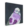 thumbnail image 3 of Canvas Wall Art - Melissa Wang 'Vivid Bird IV' Wall Art for Living Room, Bedroom, or Office Décor by Trademark Fine Art - 18 x 18 Inches, 3 of 4