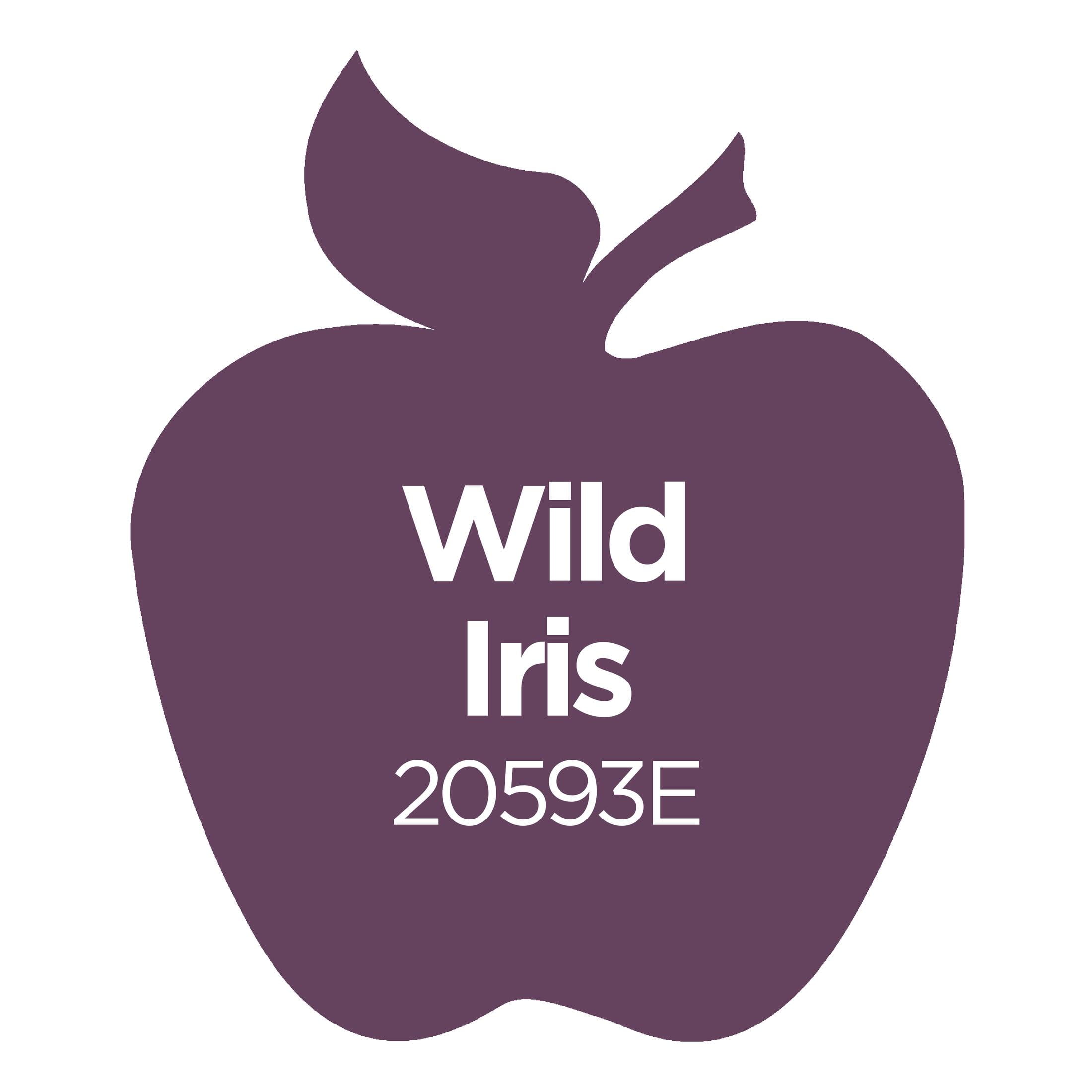 Apple Barrel Acrylic Craft Paint, Matte Finish, 2 fl oz, Wild Iris