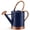 Blue, variant on 1-Gallon Steel Watering Can with Removable Sprinkler Head Ideal for Indoors & Outdoors, Bronze