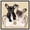 Black Frame, variant on Frenchie Pair Purse Canvas Fashion Pet Art by Art Remedy, White Frame, 40" x 40"