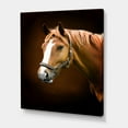 thumbnail image 3 of Designart ' Brown Horse With White Nose Portrait ' Farmhouse Canvas Wall Art Print, 3 of 4
