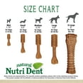 thumbnail image 4 of Nylabone Nutri Dent Filet Mignon Flavored Dental Dog Chew Treats Medium (20 Count), 4 of 14