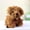 5Pack-VR1908, variant on 5 Pack 12 Cm Simulation Dog Poodle Toys Suffed Doll Key Chain Ring Pendant Toys For Christmas Gift for Christmas Day Gifts