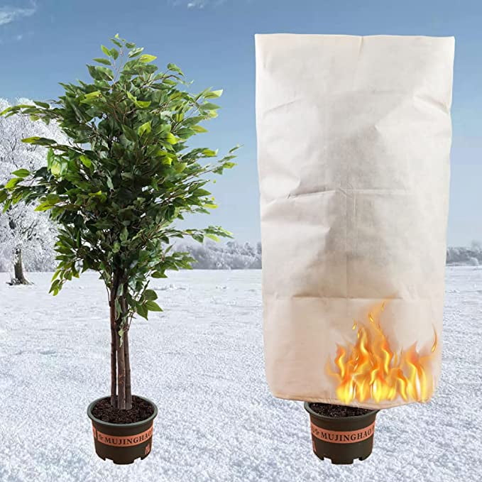 Voile D'hivernage Non-tissé 2,5x10 M - Protection Plantes Contre Gel, Vent, Insectes - Réutilisable, Respirant