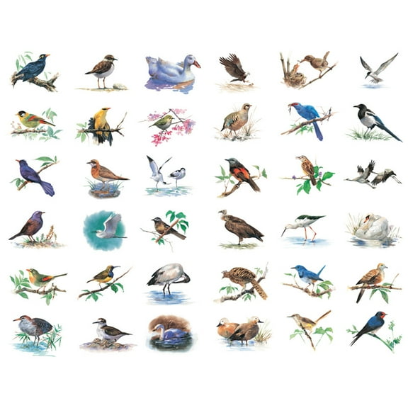 Watercolor Birds Precut Cute Aesthetic Diary Travel Paper Junk Journal Stickers Scrapbooking Stationery Sticker Flakes Art Supplies