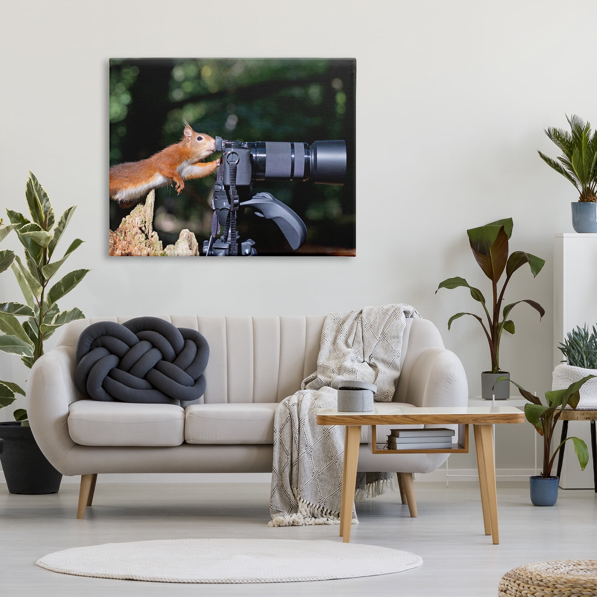 Stupell Industries Funny Squirrel Photographer Animals & Insects Photography Gallery Wrapped Canvas Art Print Wall Art, 48 x 36