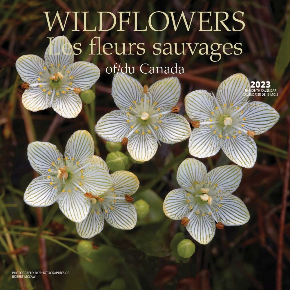 Wildflowers 2023 Wall Calendar