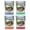 Multicolor (4-Pack), variant on Lewisburg West Virginia Design B Souvenir 2 oz Square Shot Glass Orange