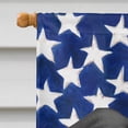 thumbnail image 3 of Kanni American Flag Flag Canvas House Size, 3 of 4