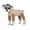 Brown, variant on BT Bear Small Dog Jumpsuit, Small Dog Recovery Suit, Stripe Anti-Shedding Dog Pajamas Pjs, After Surgery Dog Onesie Shirt, Dog Sweater Coat for Puppy Small Dog Pink M