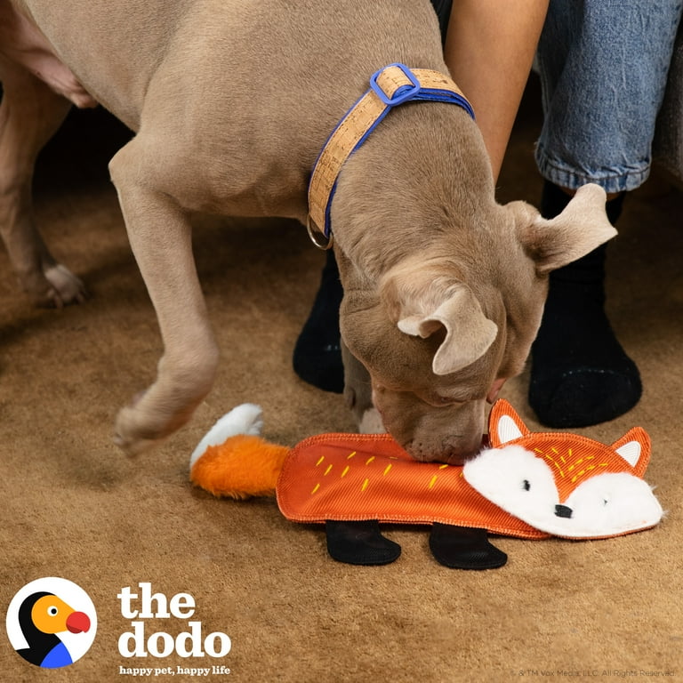 The Dodo Treat Dispensing Plush Dog Toy, Size: One Size