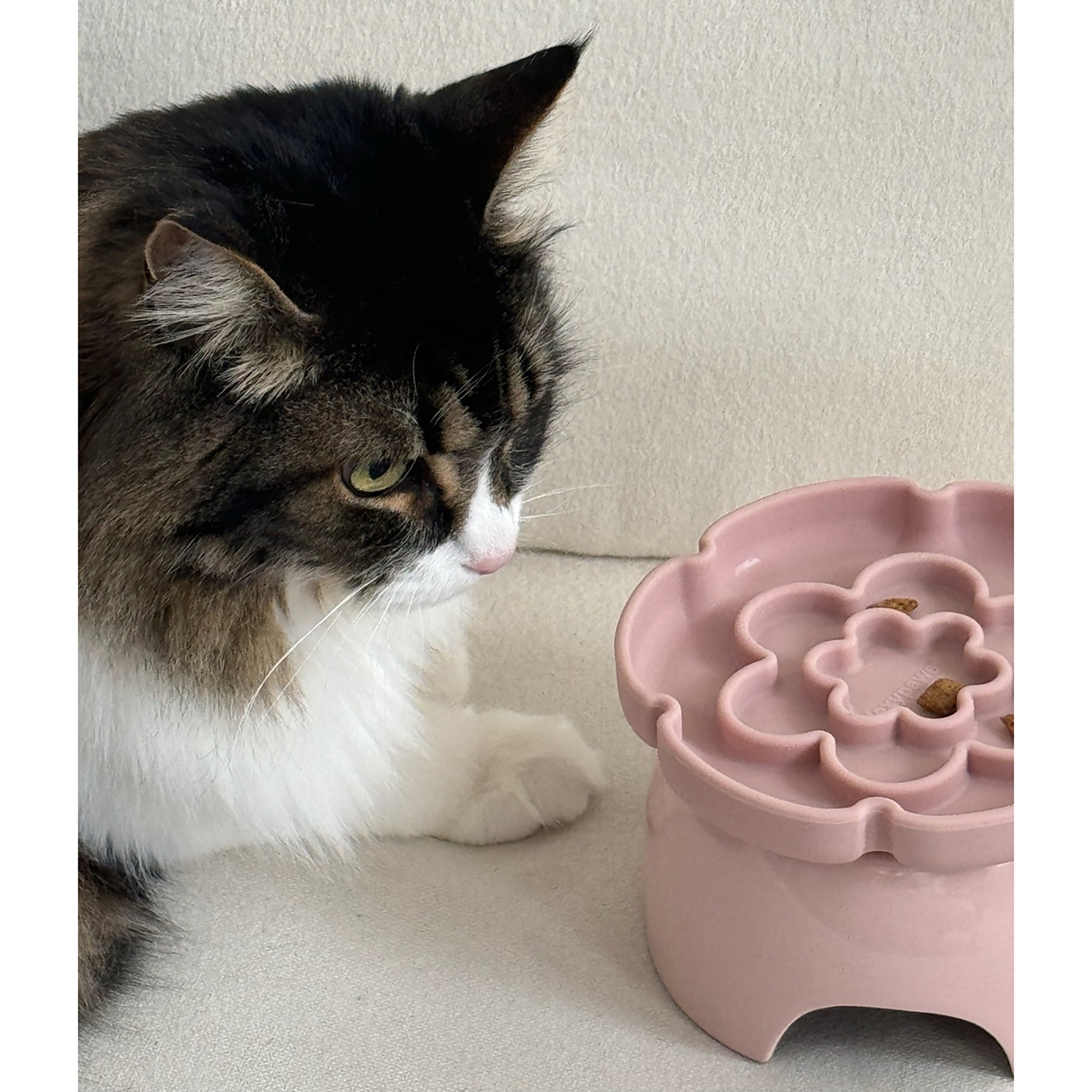Dexypaws: Flower Elevated Slow Feeder - Pink Blush - 7.75oz Capacity, Silicone Cat Dish w/ Removable Ceramic Stand, Pet Meal Feeding, Water & Food