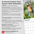 thumbnail image 6 of Songbirds | 2026 12x24" (Hanging) Square Wall Calendar | Plastic-Free, 6 of 9