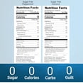 thumbnail image 3 of Syruvia Peppermint & Coconut Sugar Free Syrup, 3 of 8