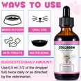 thumbnail image 3 of Oimmal Collagen Drops for Cats - 2 fl oz | Salmon Flavor - Support for Cats Joints, Skin, Digestive & Immune System, Liquid Collagen Supplement for Cat, 3 of 11
