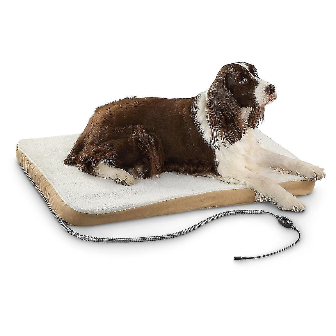 Unchewable dog blanket hotsell