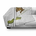 thumbnail image 3 of Swallowtail Butterfly Soft Flannel Fleece Blanket, Caterpillar Pupae Butterfly Life's Stages Inspirational Nature, Cozy Plush for Indoor and Outdoor Use, 70" x 90", Pale Brown Green, by Ambesonne, 3 of 6