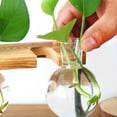 thumbnail image 6 of MLINS Round Glass Planter Bulb Vase Hydroponic Plant Container for Garden Decor Multi Terrarium, 6 of 8