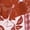 RUST, variant on Women's Floral Printed Pattern High Waisted Straight Leg Pants