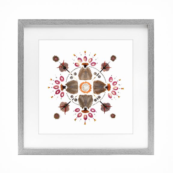 Stupell Industries Symmetrical Nautical Collection Gray Framed Print Under Glass, design by Beth Adoette
