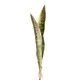 thumbnail image 1 of Injueey Planta respetuosa con el medio ambiente que admite mascotas con apariencia realista para la oficina en el hogar Sin marchitamiento Decoración 3 hojas, 59 CM 59 CM, 1 of 6