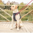thumbnail image 2 of Miangastore PU Dog Leash for Small Pets with Flexible Rhinestone Studded Design in Red Color 6.5FT, 2 of 8