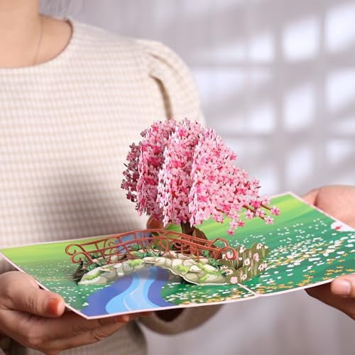 Cherry Blossom Pop Up Card, 3D Popup Flower Birthday Card 6x 8", Ideal Gift for Birthday, Mothers Day, Thank You, Anniversary, Valentines, All Occasion for Women, Wife, Mom, Sister, Grandma, Her
