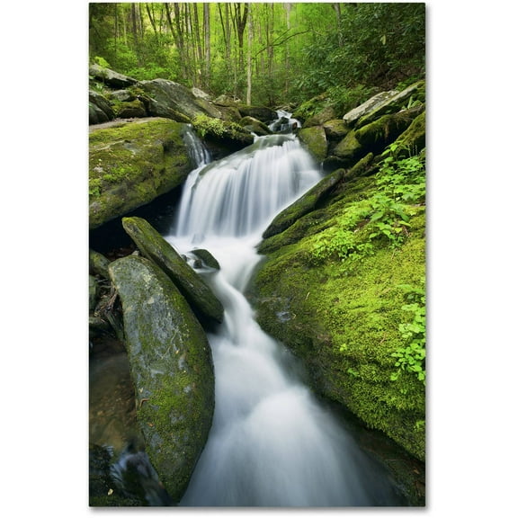 Trademark Fine Art 'Cascade Mossy Rocks' Canvas Art by Michael Blanchette Photography