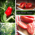 thumbnail image 4 of San Marzano Tomato Seeds - Non GMO Heirloom Varieties for Planting, 4 of 5