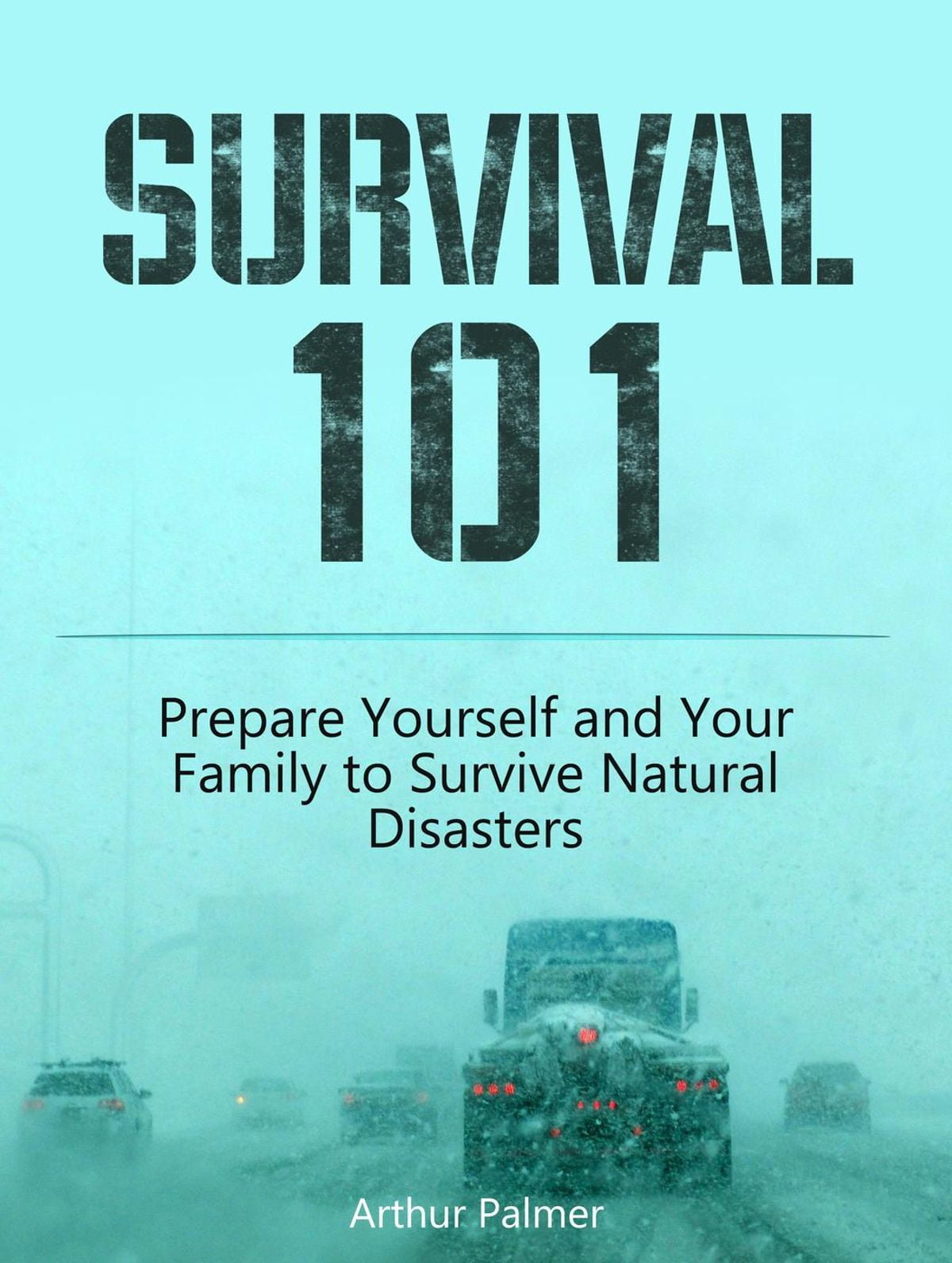 Survival 101: Prepare Yourself and Your Family to Survive Natural ...