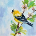 thumbnail image 3 of Vertentes, Jeanette 12x12 Black Modern Framed Museum Art Print Titled - Golden Finch, 3 of 5