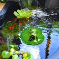 thumbnail image 4 of Frog Mini Pond Decoration - Resin, Floating, Outdoor/Garden/Balcony Decor, Cute Shape, Weather-Resistant, 4 of 6