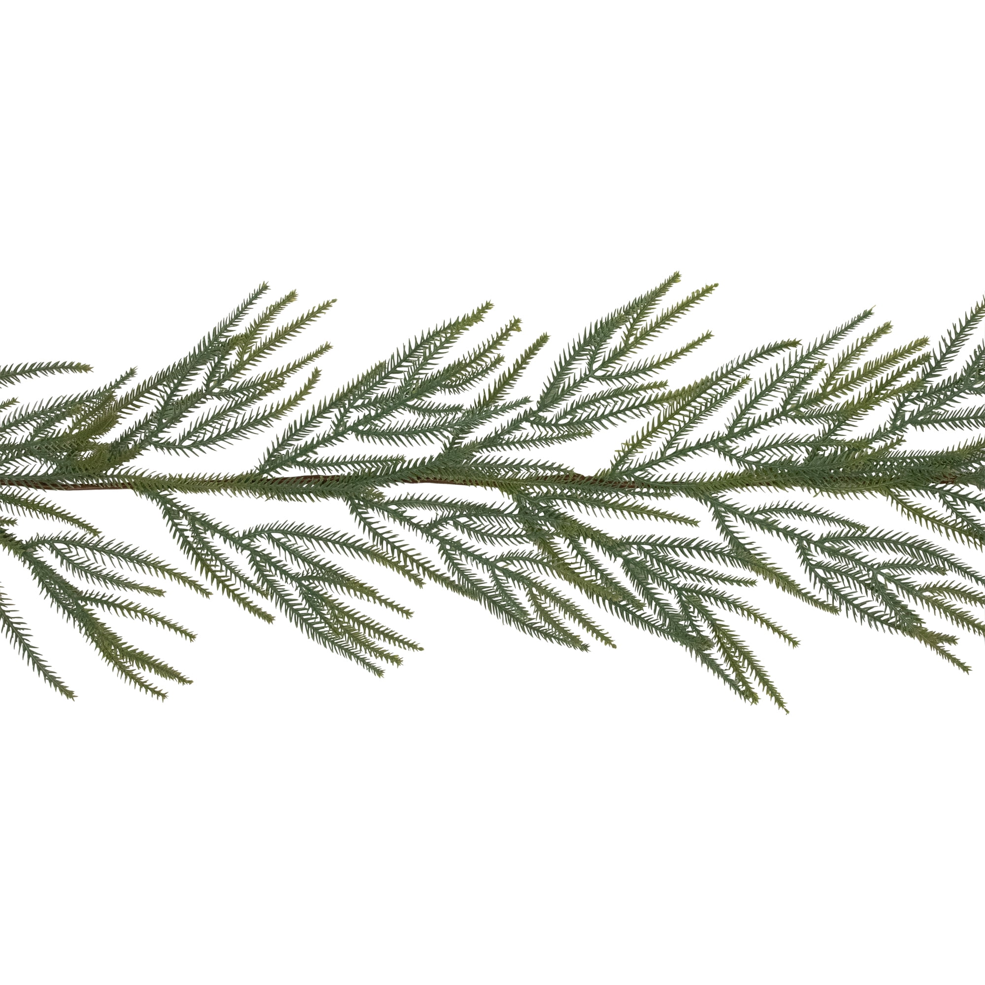 Northlight Norfolk Pine Artificial Christmas Garland - 7' - Unlit