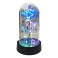 thumbnail image 2 of PEACNNG Galaxy Rose LED Light in Glass Dome - Color Changing Flower Gift for Valentine‘s Day  Birthday  Mom  Women - Preserved Artificial Flower with Romantic LED String Lights, 2 of 8