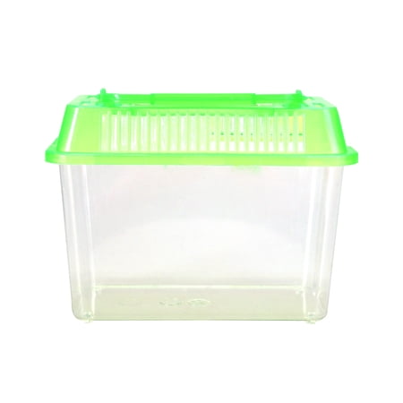 Mini Fish Tank Plastic Handheld Fish Tank for Turtle and Pet Fish (Green)