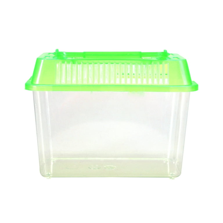 Mini Fish Tank Plastic Handheld Fish Tank for Turtle and Pet Fish (Green), Multicolor