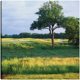 thumbnail image 1 of Cuadro Decorativo - Heron Glen Golf Club, 1 of 3