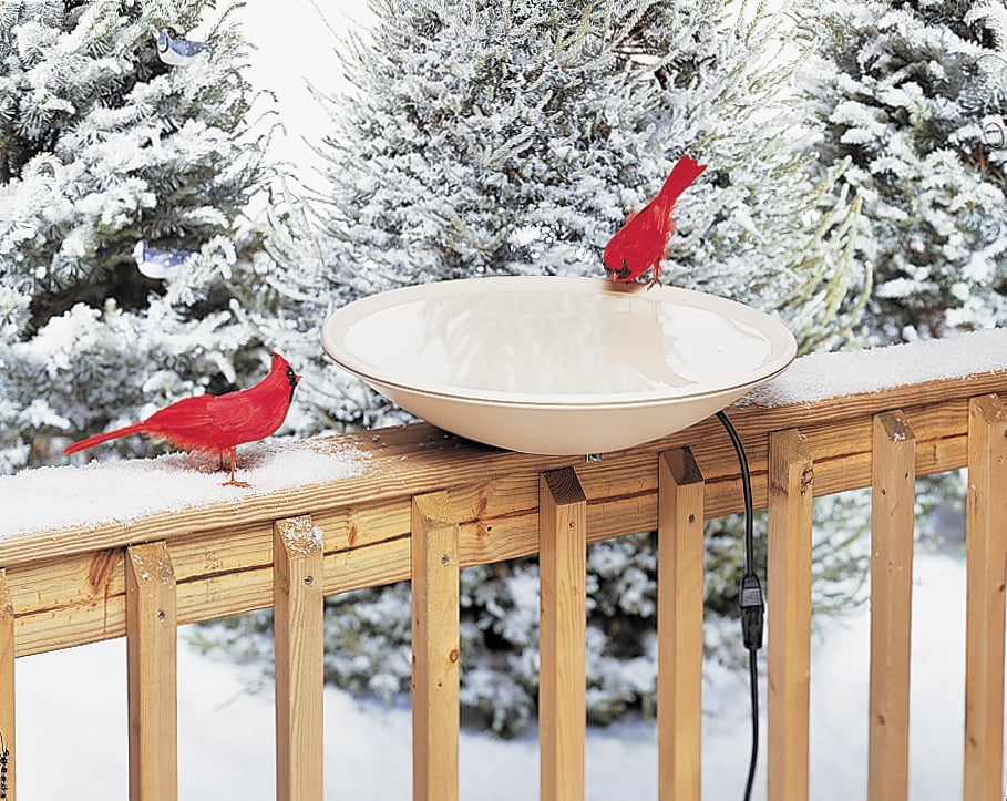 Allied Precision 650 20" 150W Heated Birdbath by Allied Precision