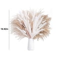 thumbnail image 2 of Ramo de hierba Pampas seca 92 piezas | Junco natural, blanco y mezcla de colores | Decoración Bohemia de 17" de altura | Elegante relleno de jarrón para salón, boda y centro de mesa | Cuidado, 2 of 5